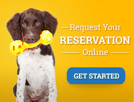 Request a Reservation